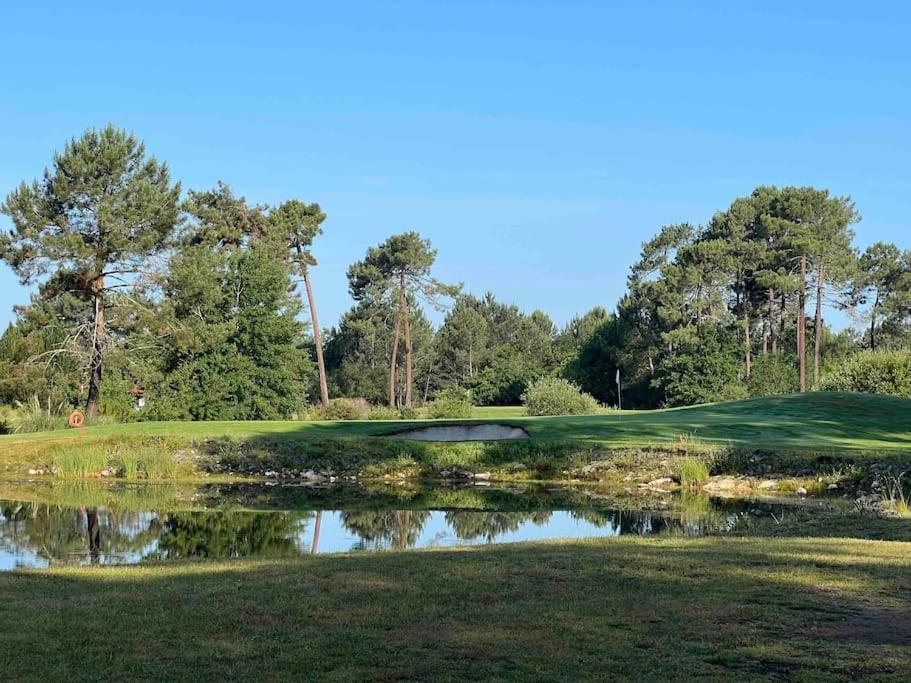 Agreable Maison Landaise Proche Du Lac Sanguinet Buitenkant foto