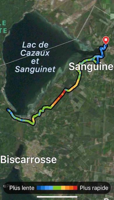 Agreable Maison Landaise Proche Du Lac Sanguinet Buitenkant foto