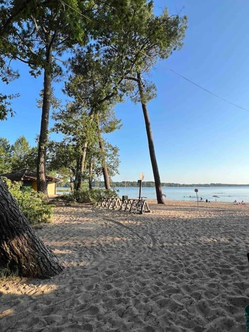 Agreable Maison Landaise Proche Du Lac Sanguinet Buitenkant foto